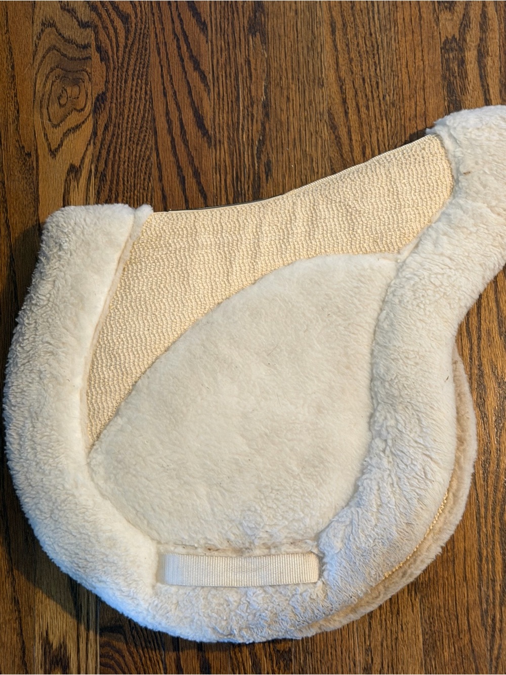 Success Equestian Show Pad size Small - Used